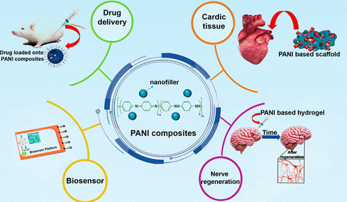 Progress in Conductive Polyaniline-Based Nanocomposites for Biomedical Applications